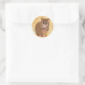 Schattigee Vette Hamster Stickers (Tas)