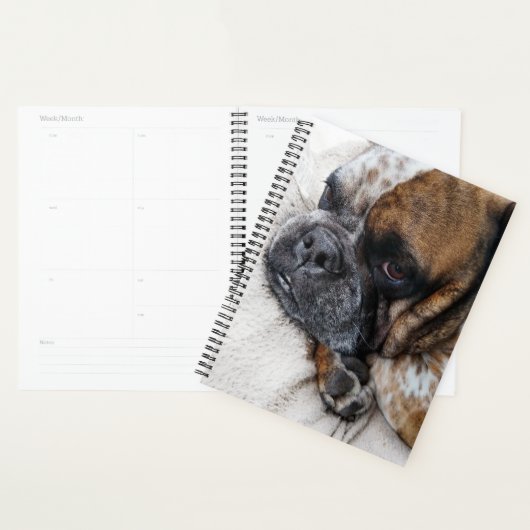 Schattigee Victoriaans Bulldog Photo Planner (Display)