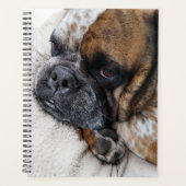 Schattigee Victoriaans Bulldog Photo Planner (Voorkant)