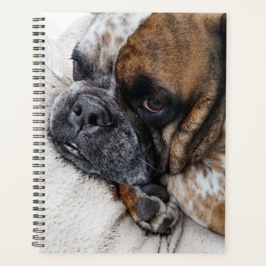 Schattigee Victoriaans Bulldog Photo Planner (Voorkant)