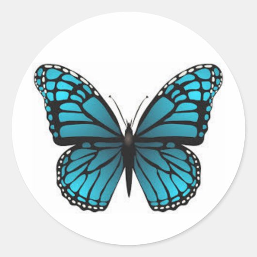 Schattigee vlinder stickers (Voorkant)