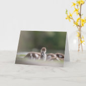 Schattigee Vogel Natuur Foto Kaart (Gele Bloem)