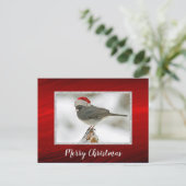 Schattigee Vogel Santa Pet Foto Kerst Briefkaart (Staand voorkant)