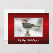 Schattigee Vogel Santa Pet Foto Kerst Briefkaart (Voorkant / Achterkant)