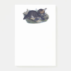 Schattigee vogelbekdier op een Log Animal Illustra Post-it® Notes
