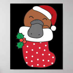 Schattigee vogelbekdieren in kerstkousen voor Kers Poster