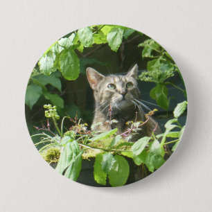 Schattigee vogelkijkkkat Button