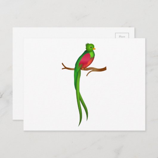 Schattigee vogelquetzal briefkaart (Voorkant / Achterkant)