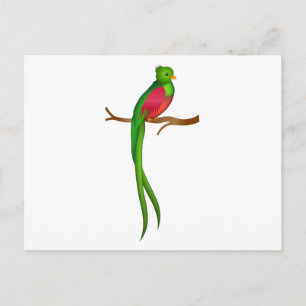 Schattigee vogelquetzal briefkaart
