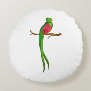 Schattigee vogelquetzal rond kussen