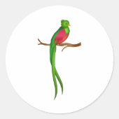 Schattigee vogelquetzal ronde sticker (Voorkant)