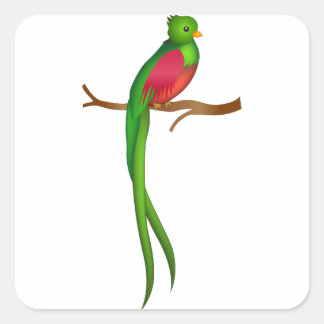 Schattigee vogelquetzal vierkante sticker