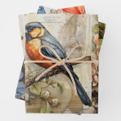 Schattigee Vogels & Bloemen geïnspireerd Inpakpapier Vel (In situ)