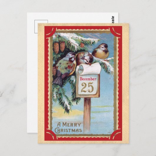 Schattigee vogels vrolijk kerstfeest briefkaart (Voorkant / Achterkant)