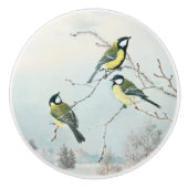 Schattigee vogeltjes van Matti Karppanen, Birds Ar Keramische Knop (Voorkant)