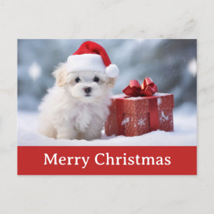 Schattigee vrolijke kerst puppy hond santa hoed briefkaart