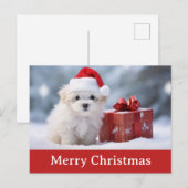 Schattigee vrolijke kerst puppy hond santa hoed briefkaart (Voorkant / Achterkant)