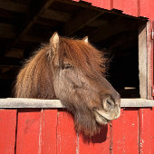 Schattigee, vrolijke mok