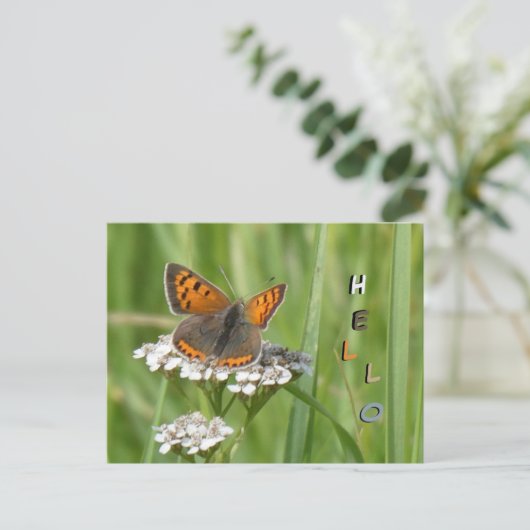 Schattigee vuurvlinder Cust. HALLO Briefkaart (Staand voorkant)