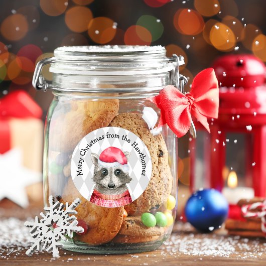 Schattigee wasbeer in rode kerstmuts ronde sticker