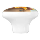 Schattigee wasbeer in roze pet en ster aangepaste keramische knop (Zijkant)