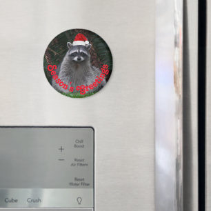 Schattigee wasbeer met rode kerstmuts vakantie magneet