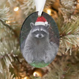 Schattigee wasbeer met rode kerstmuts vakantie ornament