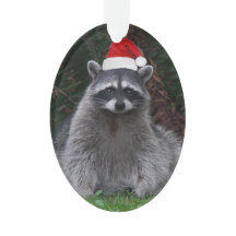 Schattigee wasbeer met rode kerstmuts vakantie