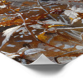 Schattigee wasbeer tijdens winterolieverfschilderi poster (Hoek)