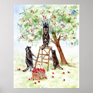 Schattigee wasberen in de appelboomgaard poster