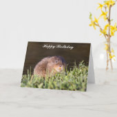 Schattigee Water vole Verjaardag Kaart (Gele Bloem)