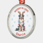 Schattigee Waterverf Fun Border Collie Snowflakes Metalen Ornament (Links)
