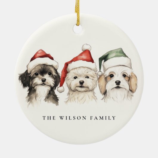 Schattigee Waterverf Hondenharige en Bright Christ Keramisch Ornament (Achterkant)