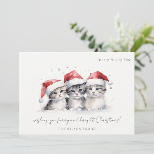 Schattigee Waterverf Katten Furry en Bright Christ Feestdagenkaart (Staand voorkant)