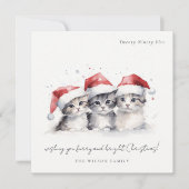 Schattigee Waterverf Katten Furry en Bright Christ Feestdagenkaart (Voorkant)
