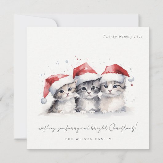 Schattigee Waterverf Katten Furry en Bright Christ Feestdagenkaart (Voorkant)