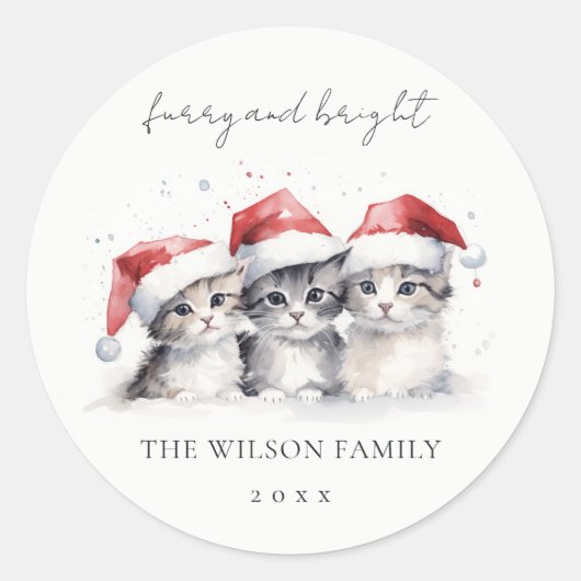 Schattigee Waterverf Katten Furry en Bright Christ Ronde Sticker (Voorkant)