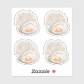 Schattigee Waterverf Peachy Oysters Parels Girly Sticker (Vel)