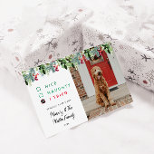 Schattigee Waterverf Pet Foto Kerst Feestdagenkaart