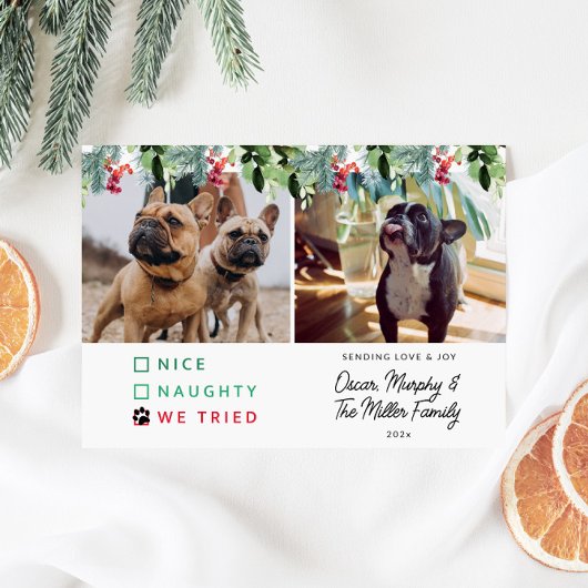 Schattigee Waterverf Pet Foto Kerst Feestdagenkaart