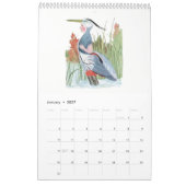 Schattigee  Waterverf Tekeningen Vogelkinderen 3 Kalender (Jan 2027)
