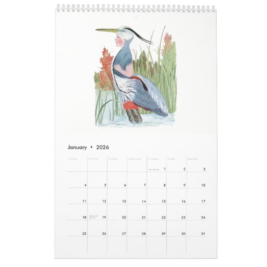 Schattigee  Waterverf Tekeningen Vogelkinderen 3 Kalender (Jan 2026)