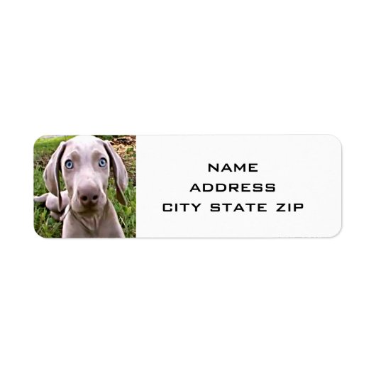 SCHATTIGEE WEIMARANER-ADRESLABELS ETIKET (Voorkant)