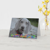 Schattigee Weimaraner puppy verjaardagskaart Kaart (Gele Bloem)