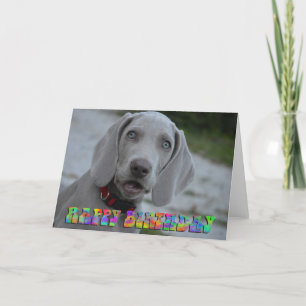 Schattigee Weimaraner puppy verjaardagskaart Kaart