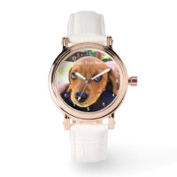 Schattigee Weiner Teckel Hond Puppy Dier Dierenlie