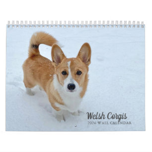 Schattigee Welsh Corgi Hondenfotografie 2026 Muur Kalender