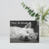 Schattigee Westie Briefkaarten (Staand voorkant)