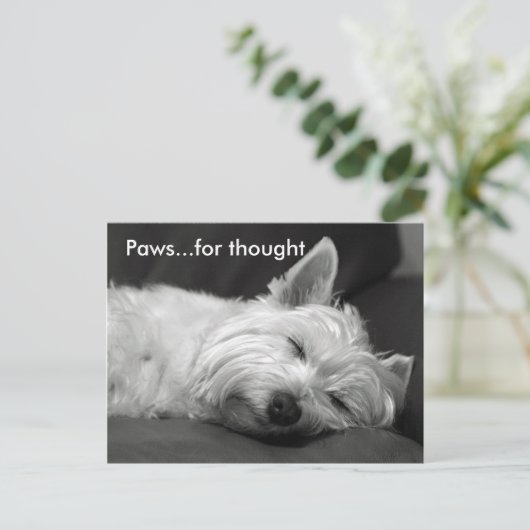 Schattigee Westie Briefkaarten (Staand voorkant)