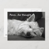 Schattigee Westie Briefkaarten (Voorkant / Achterkant)